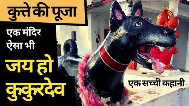 वफादारी की पूजा : एक ऐसा मंदिर जहां कुत्ते की होती है पूजा