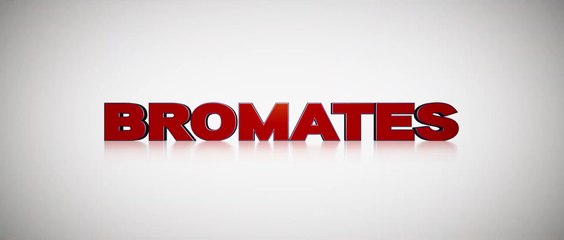 BROMATES (2022) Trailer VO - HD