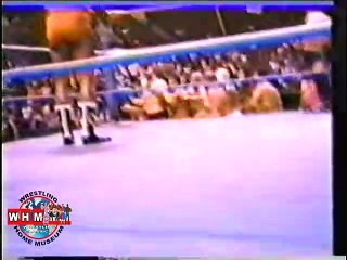 Carlos Colon & Abdulah The Butcher vs Bruiser Brody & Stan Hansen