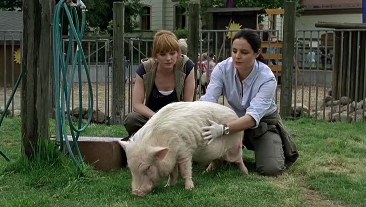 Tierärztin Dr. Mertens Staffel 4 Folge 10