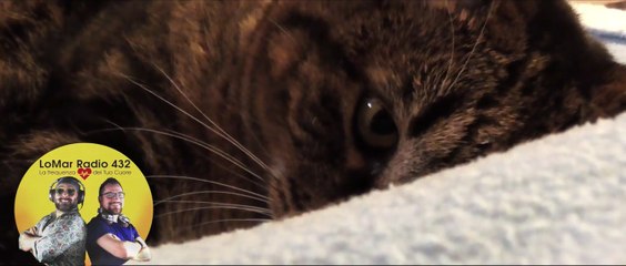 PROMO ASMR 432Hz AMBIENCE e AUDIO RACCONTI CRIME & MYSTERY