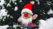 Jingle Bells | Instrumental Christmas Music | Relaxing  Ambience | Joyeux Noël