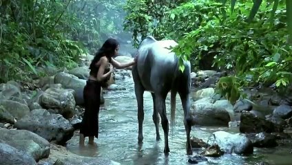 ขุนแผน Disc2