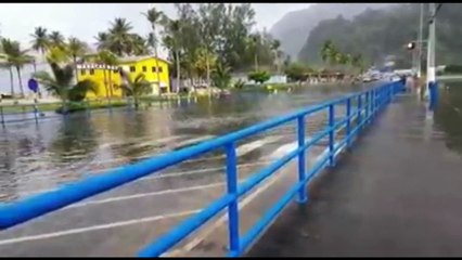 Surprise at Maracas Bay: Underwater Lifeguards Make a Splash 🌊