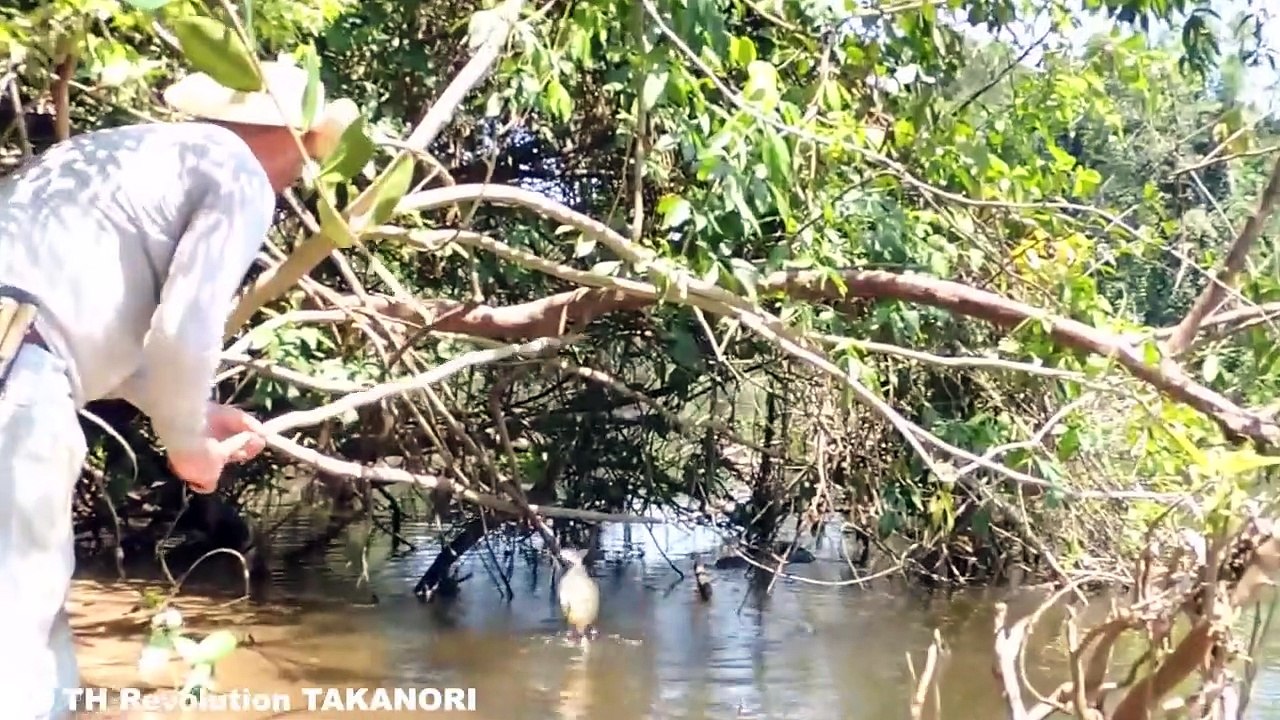 6 Crocodile Encounters You Will Regret Watching