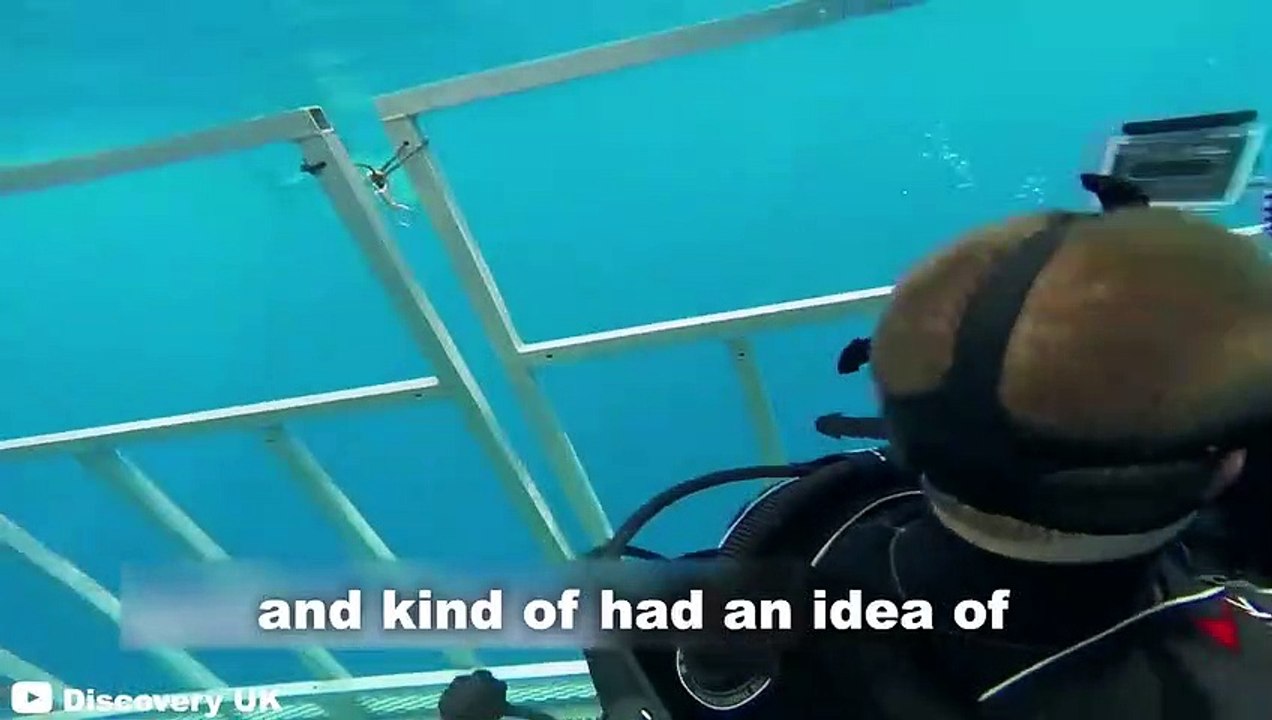 6 Shark Encounters You Can't Handle Watching