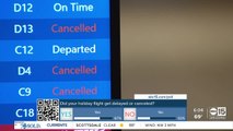 Hundreds of flights canceled out of Phoenix Sky Harbor