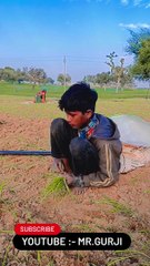 लीलण तेजाजी न्यू भजन |New Tejaji Bhajan