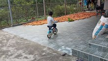 Pha đổ cua đi vào lòng đất
