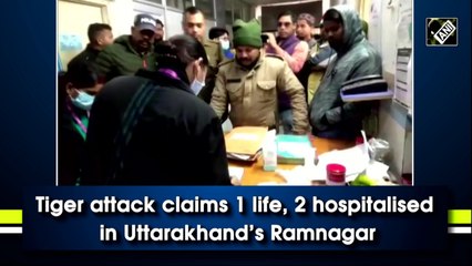 Uttarakhand: Tiger attack claims 1 life, 2 hospitalised