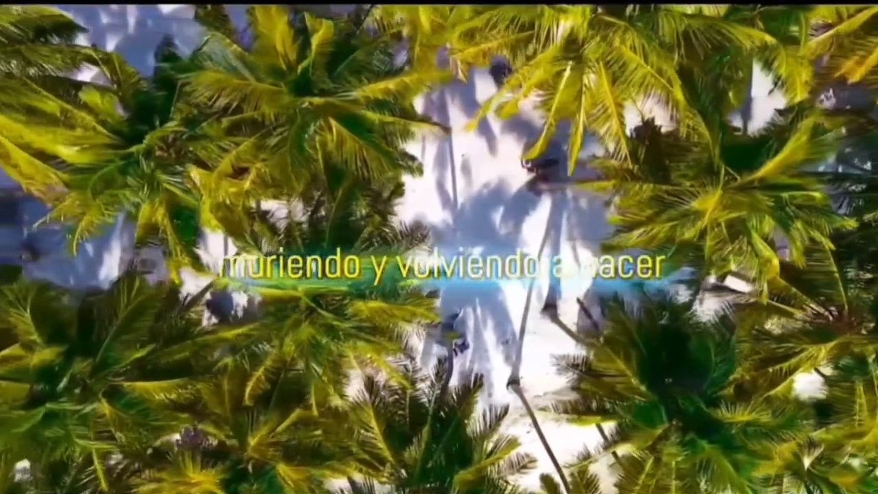 La redención de los imbéciles