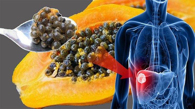 पपीते के बीज खाने के जबरदस्त फायदे । पपीते के बीज खाने से क्या होता है । Boldsky *Health