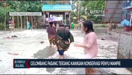 Скачать видео: Gelombang Pasang Terjang Kawasan Konservasi Penyu Mampie