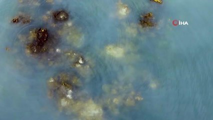 Sular çekilince mikrobiyalitler gün yüzüne çıktı, liman kullanılamaz hale geldi