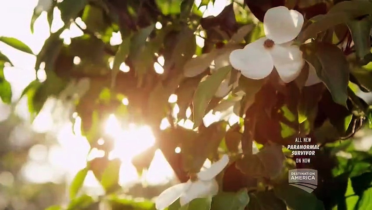 Paranormal Survivor - Se1 - Ep04 - Spirit Protectors HD Watch HD Deutsch