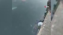 6 kilogramlık ahtapotu denize atlayıp böyle yakaladı