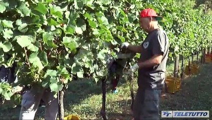 Punti di vista - Puntata del 23/12/2022