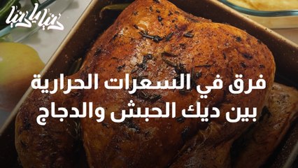 ديك الحبش كوجبة غذائية ما الفوائد والسعرات الحرارية ؟