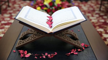 سورة الرحمن جودة رهيبة جدا بصوت جميل للقارئ الشيخ عماد المنصري