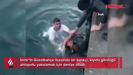 6 kiloluk ahtapotu denize atlayıp eliyle yakaladı