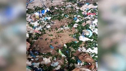 Karadeniz'de balıkçılar: Balık yerine çöp tutuyoruz