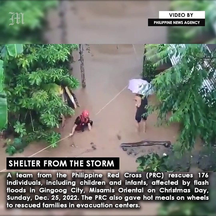 Shelter from the storm