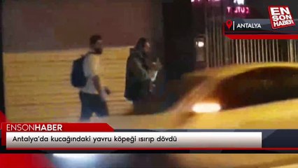 Antalya'da kucağındaki yavru köpeği ısırıp dövdü