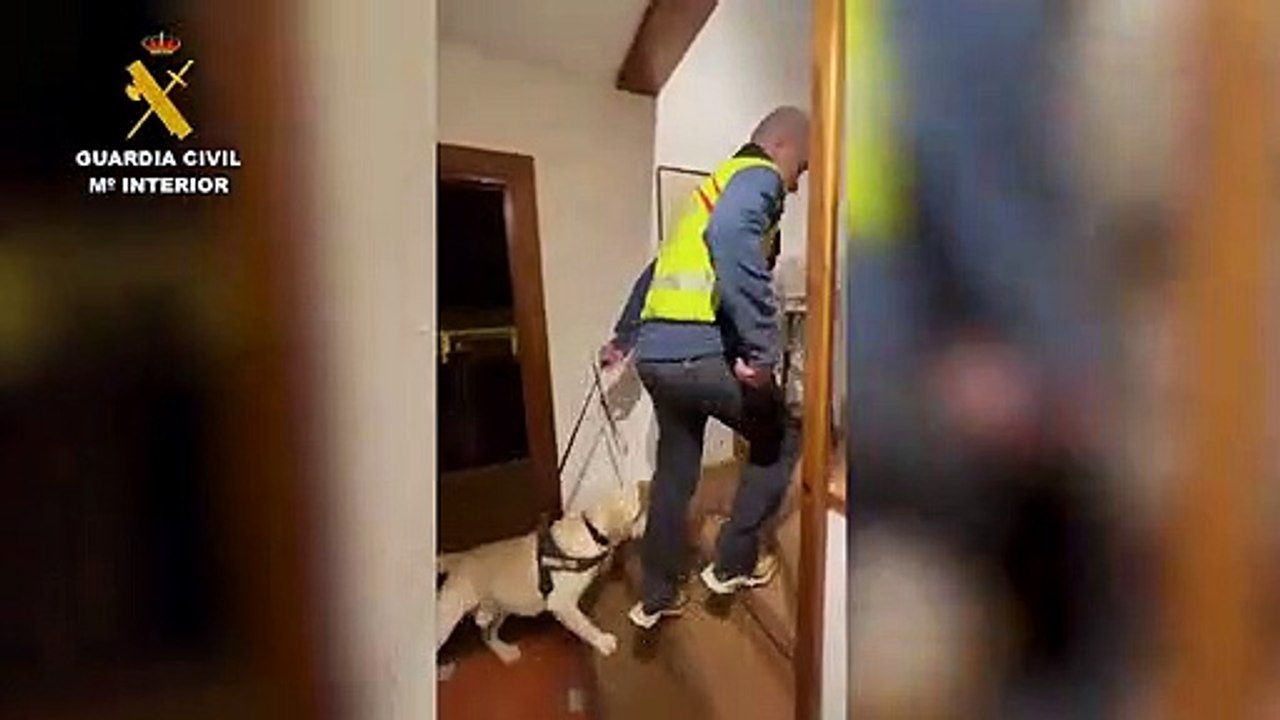 Vídeo de uno de los registros