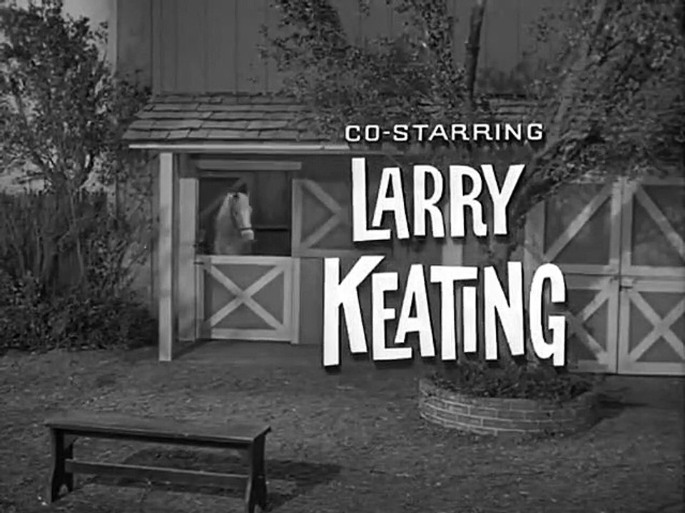 Mister Ed - Se4 - Ep01 HD Watch HD Deutsch