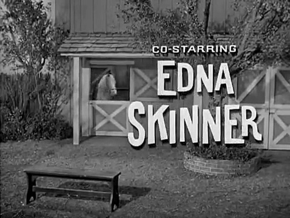Mister Ed - Se4 - Ep08 HD Watch HD Deutsch