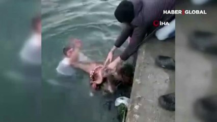 Şaşkınlıklarını gizleyemediler! 6 kiloluk ahtapotu denize atlayıp eliyle yakaladı