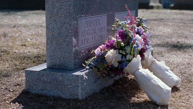 El peor vecino del mundo - Tráiler Oficial subtitulado -