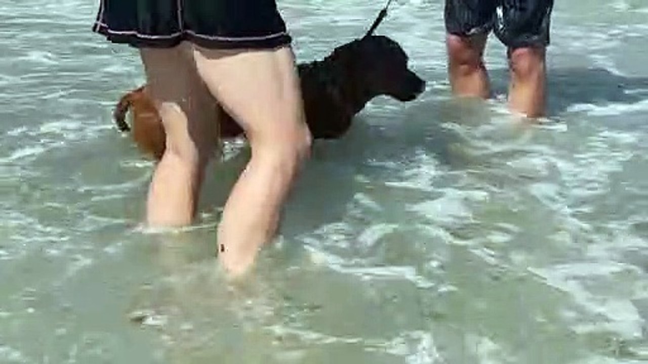 Zuma 2022 05 08 10 37 01 Beach