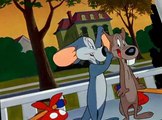 Looney Tunes Golden Collection Looney Tunes Golden Collection S02 E029 Mouse Wreckers