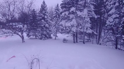 Imágenes de la tormenta Elliot en EE UU