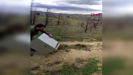 YARALI TİLKİ TEDAVİ EDİLİP DOĞAYA BIRAKILDI