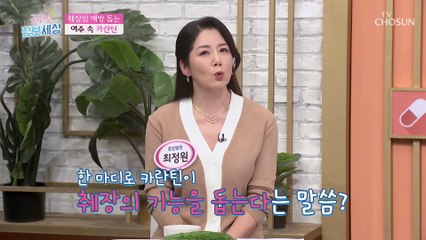 췌장암 발병률을 줄이고 지방 축적까지 방지하는 여주의 효능 TV CHOSUN 221227 방송