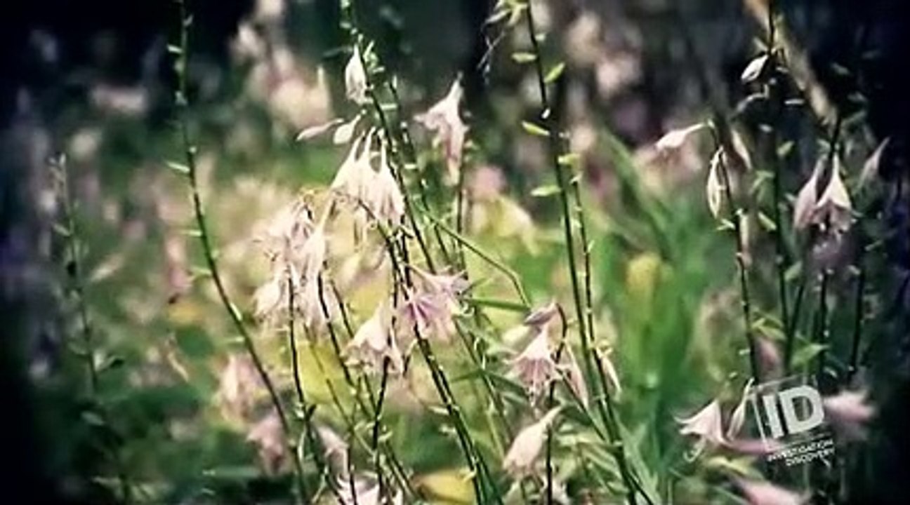 dateline-on-id-season-10-episode-07-5936bec111076-freedownloadvideo.net