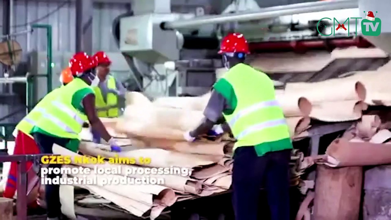 [#Reportage] Le #Gabon deuxième pays au monde le plus boisé avec 88% de forêt #GMT #GMTtv