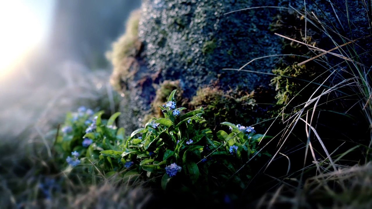 OUTLANDER STAFFEL 16 (2014) Filme Deustche HD HD Deutsch Vídeo Dailymotion