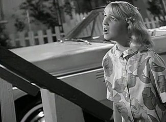 My Favorite Martian S02 E13