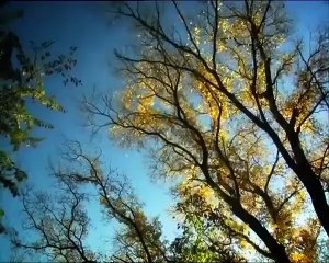 Minuscule - Se6 - Ep12 HD Watch HD Deutsch