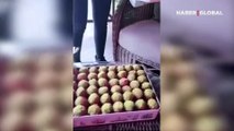 Şahan Gökbakar'ın paylaşımı hayranlarını harekete geçirdi! Ofisine tatlı yağdı