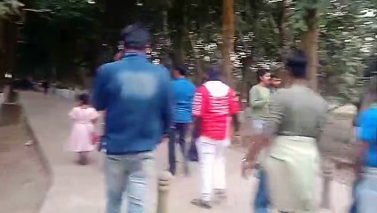 Kathgola bagan. Kath golap bagan