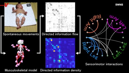 Scientists Discover Why Babies Kick in the Womb