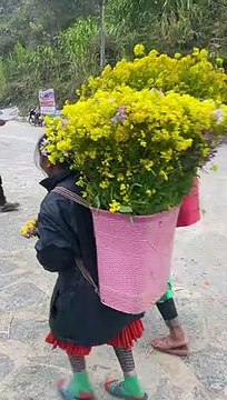 Clip: Về Hà Giang, Phúng Phính ngày ngày vui chơi cùng bạn bè