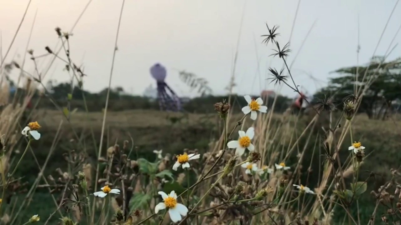 Nhạc thư giãn 013 - Diều khổng lồ bay trên đồng cỏ