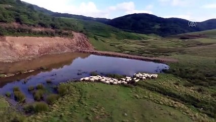 Kuraklık riskine karşı tedbir amacıyla 61 gölet inşa edildi