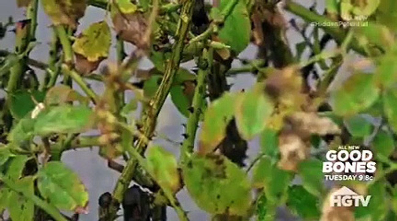 Hidden Potential (2018) - Se2 - Ep11 - It's My Dream Home Now HD Watch HD Deutsch