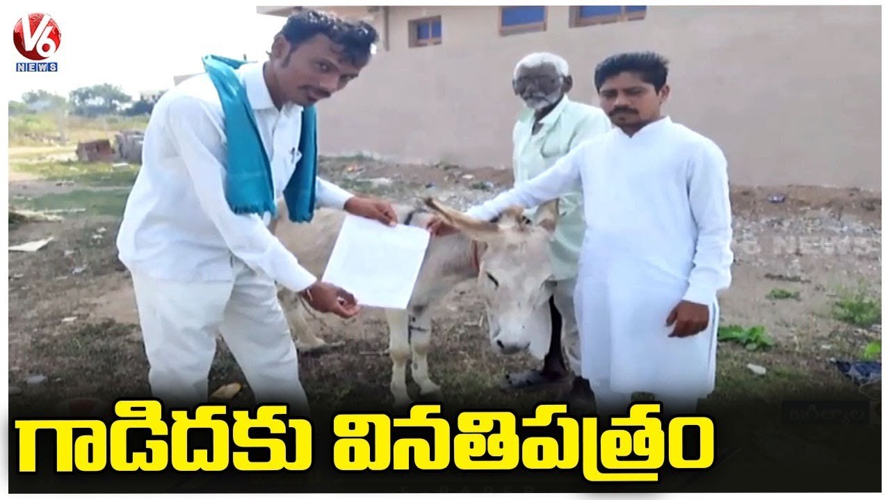 Farmers Variety Protest Aganist TS Govt , Letter To Donkey | Jagtial | V6 News